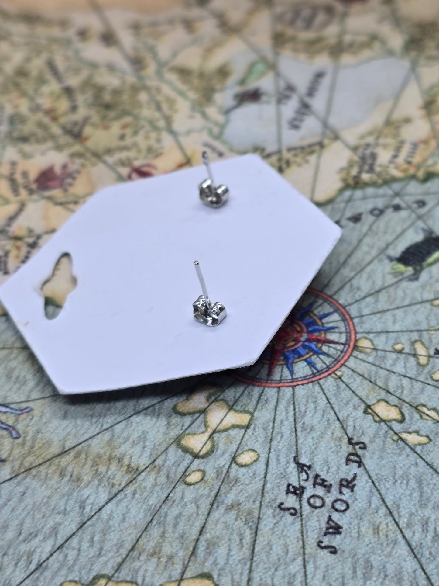 Ravenloft D20 earrings