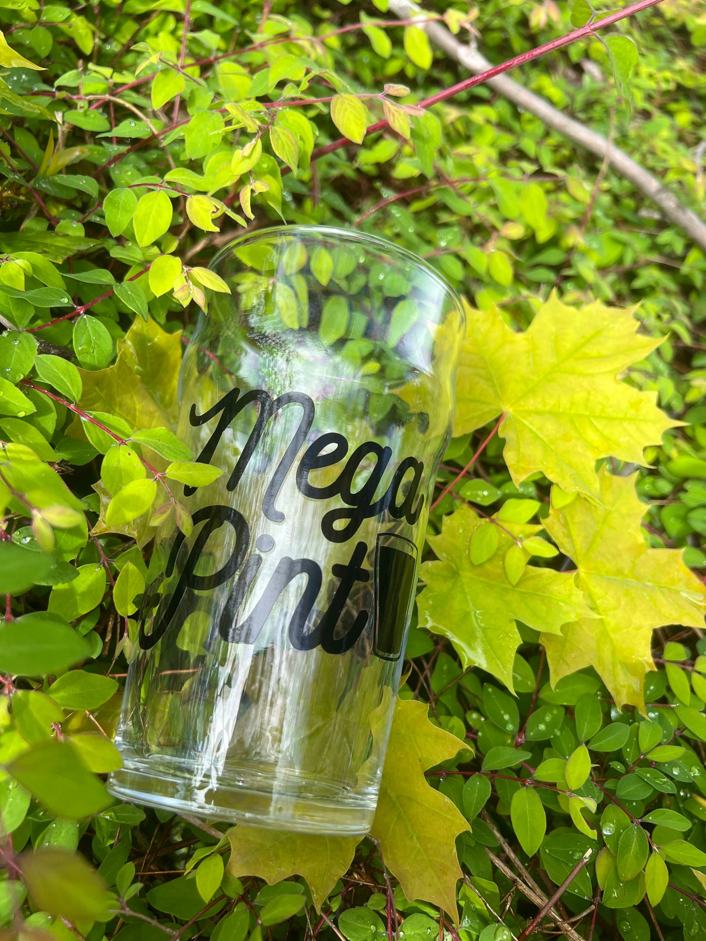 Mega pint glass!