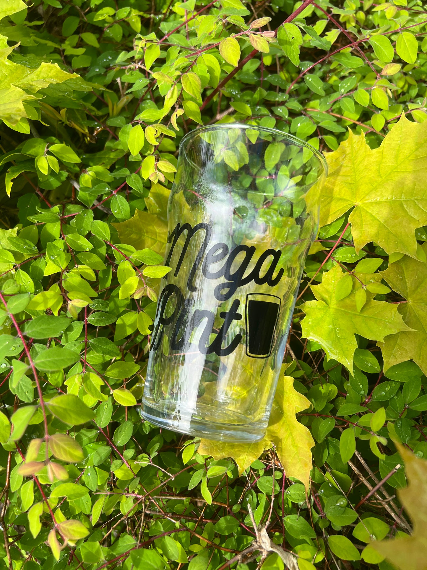 Mega pint glass!