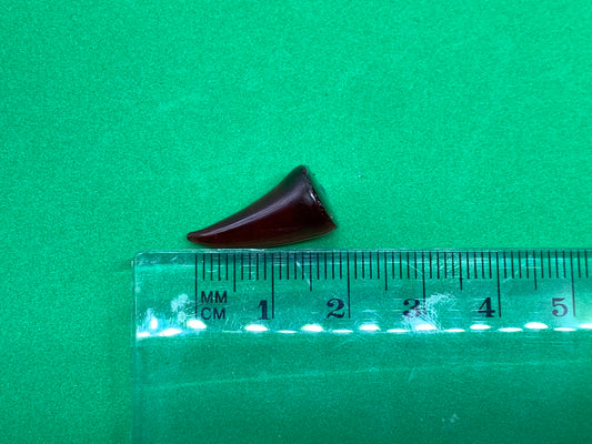 Demon Small Resin Horns For Cosplay
